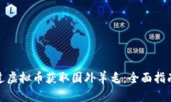 如何通过虚拟币获取国外羊毛：全面指南与策略