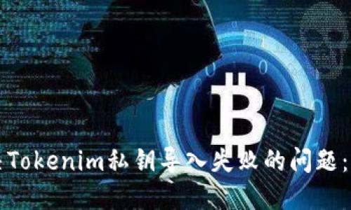如何解决Tokenim私钥导入失败的问题：详尽指南