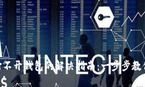 Tokenim打不开钱包的解决指南：一步步教你找回资产