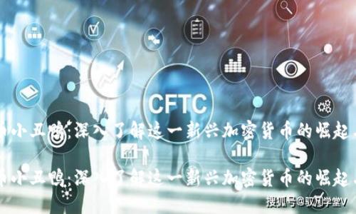 虚拟币小丑鸭：深入了解这一新兴加密货币的崛起与未来

虚拟币小丑鸭：深入了解这一新兴加密货币的崛起与未来