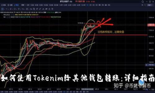 如何使用Tokenim给其他钱包转账：详细指南