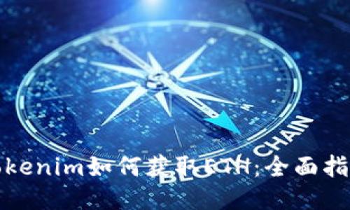 Tokenim如何获取ETH：全面指南