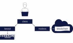 全面解析Tokenim钱包支付：