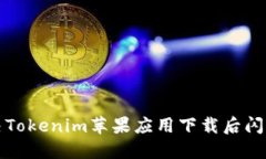 如何解决Tokenim苹果应用下