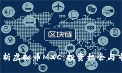  深度解析虚拟币MXC：投资