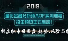  全面解析虚拟币项目盘：