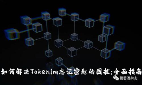 如何解决Tokenim忘记密匙的困扰：全面指南