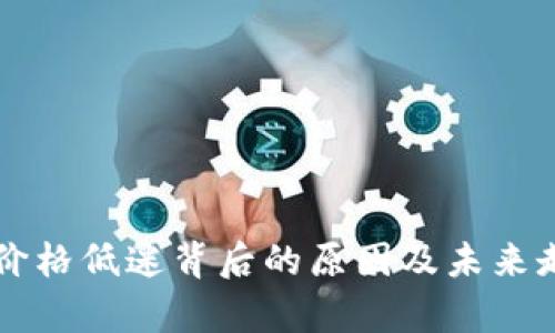 虚拟币价格低迷背后的原因及未来走势分析