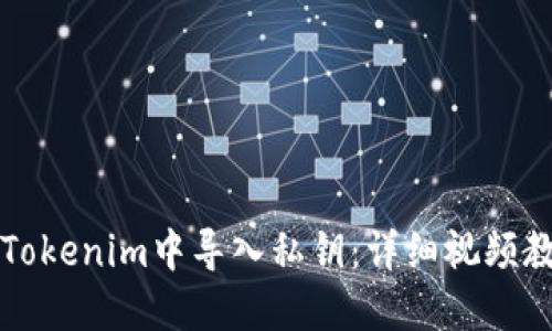 如何在Tokenim中导入私钥：详细视频教程指南