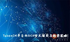 TokenIM平台的BCH分叉解析与
