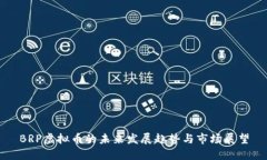 BRP虚拟币的未来发展趋势
