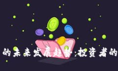 虚拟币雷电的未来发展趋