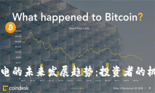 虚拟币雷电的未来发展趋势：投资者的机遇与挑战