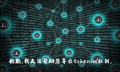 抱歉，我无法帮助您导出tokenim私钥。