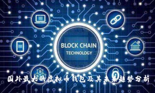 国外最大的虚拟币钱包及其未来趋势分析