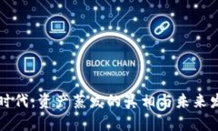 虚拟币时代：资产蒸发的