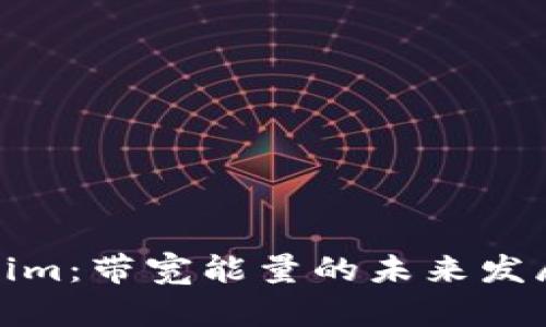 Tokenim：带宽能量的未来发展趋势