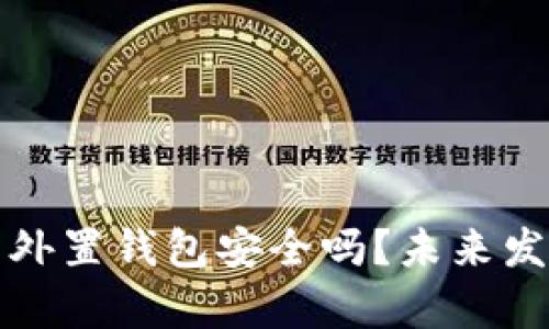 存虚拟币的外置钱包安全吗？未来发展趋势分析