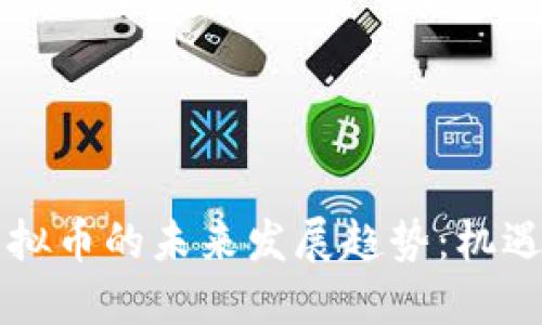 美国虚拟币的未来发展趋势：机遇与挑战