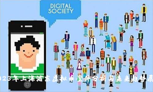 2023年上海浦东虚拟币案件分析与未来趋势展望