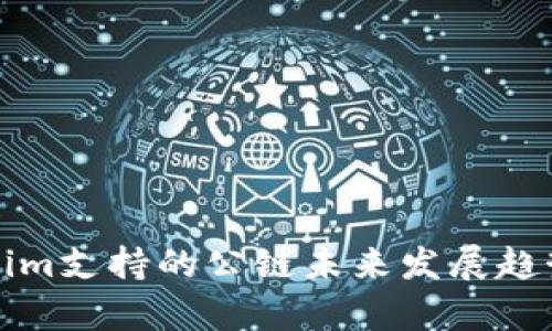 Tokenim支持的公链未来发展趋势分析