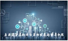 未来美金虚拟币交易的发