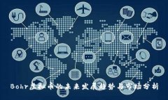 Bohr虚拟币的未来发展趋势