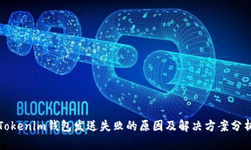 Tokenim钱包发送失败的原因及解决方案分析