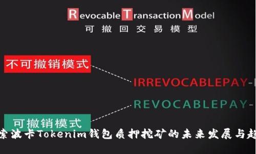 探索波卡Tokenim钱包质押挖矿的未来发展与趋势