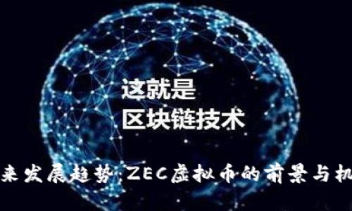 未来发展趋势：ZEC虚拟币的前景与机遇