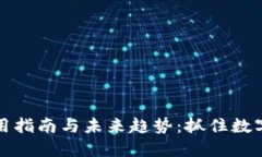 虚拟币的使用指南与未来