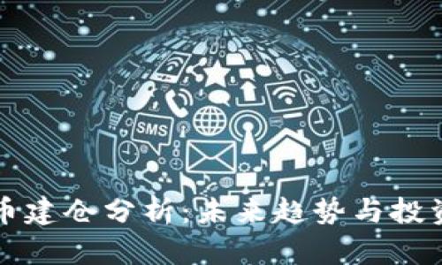 虚拟币建仓分析：未来趋势与投资策略