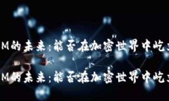 TokenIM的未来：能否在加密