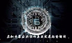 虚拟币幕后大佬的未来发