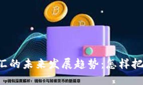 虚拟币炒外汇的未来发展趋势：怎样把握投资机遇？