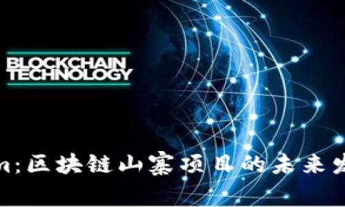 Tokenim：区块链山寨项目的未来发展趋势