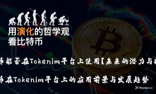 AE币能否在Tokenim平台上使用？未来的潜力与挑战

AE币在Tokenim平台上的应用前景与发展趋势