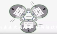 中华币虚拟币的未来发展