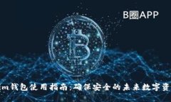 Tokenim钱包使用指南：确保