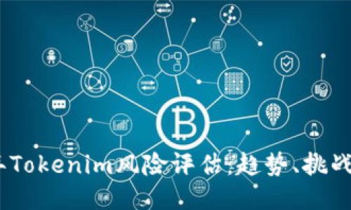 2024年Tokenim风险评估：趋势、挑战与机遇