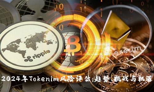 2024年Tokenim风险评估：趋势、挑战与机遇