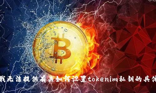 抱歉，我无法提供有关如何设置tokenim私钥的具体信息。