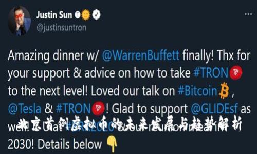 北京首例虚拟币的未来发展与趋势解析