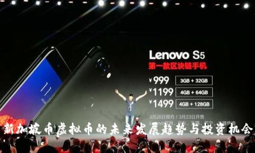 新加坡币虚拟币的未来发展趋势与投资机会