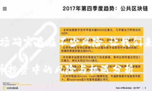 理解你的顾虑，虚拟币市场确实存在不少风险。让我们来详细探讨一下这个话题。

### 苹果用户在虚拟币投资中的风险与机遇分析