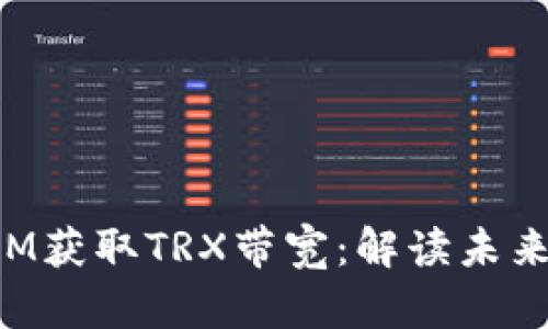 如何通过TokenIM获取TRX带宽：解读未来的去中心化趋势