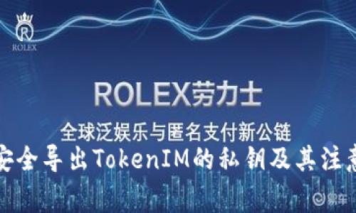 如何安全导出TokenIM的私钥及其注意事项