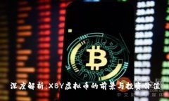 深度解析：XBY虚拟币的前