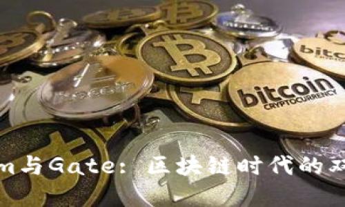 Tokenim与Gate: 区块链时代的双重境界
