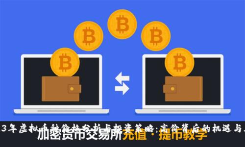 2023年虚拟币种价格分析与投资策略：高价背后的机遇与风险